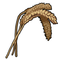 Wheat