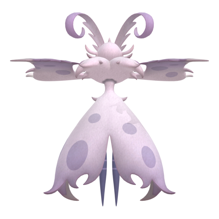 Silvance from behind